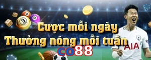 co88